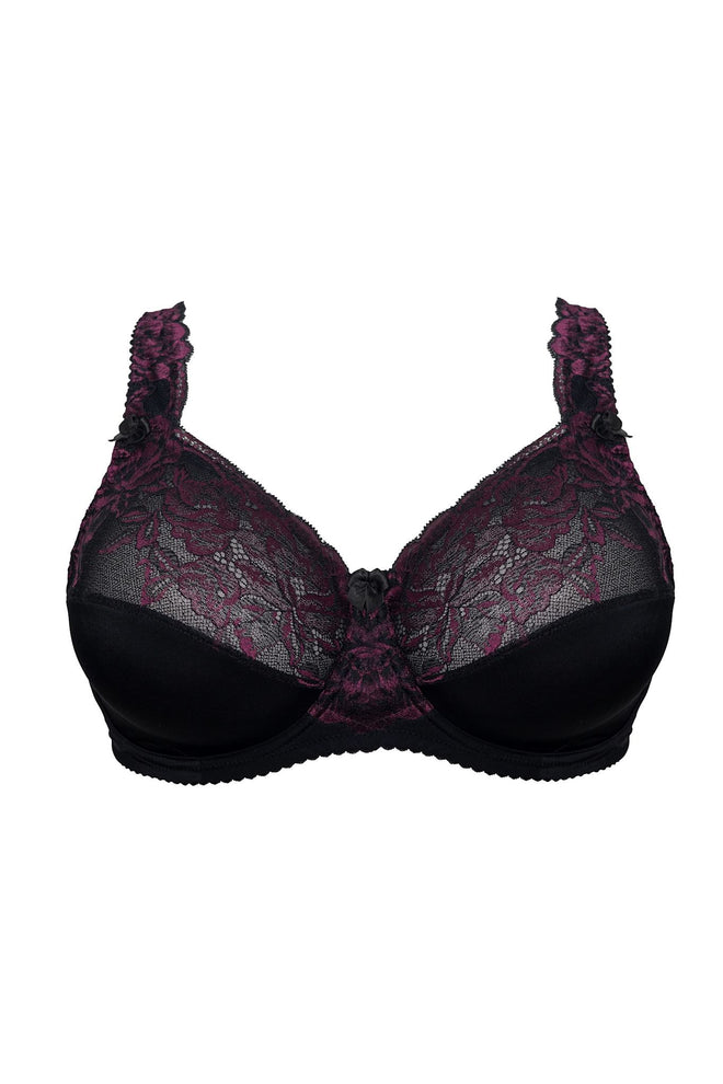 Beate Plain, Merlot